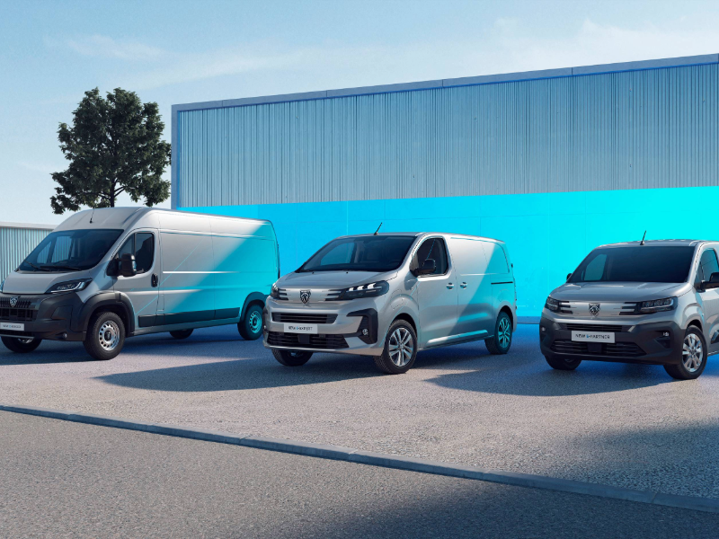 Opel Movano Nutzfahrzeug Auto Studer